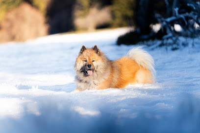 Pix & Cie, Photographe à Ostwald