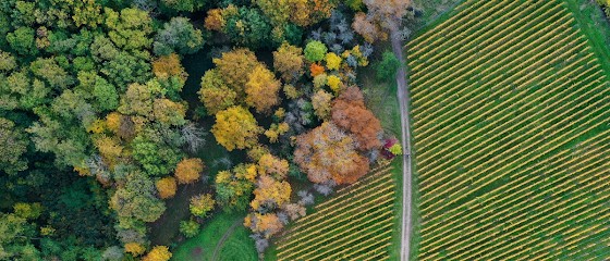 Dronedoiseau, Photographe à Morschwiller-le-Bas