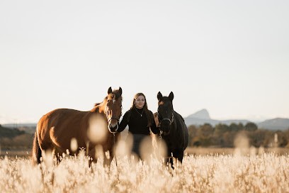 Amouroux Photos - Photographe - Vidéaste, Photographe à Montmirat