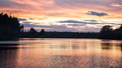 Bertrand Taoussi PHOTO & VIDÉO, Photographe à Montolieu