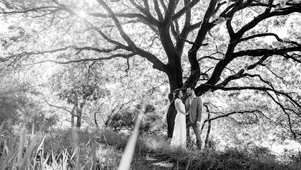 Le Derf Art Photography, Photographe à Saint-Dolay