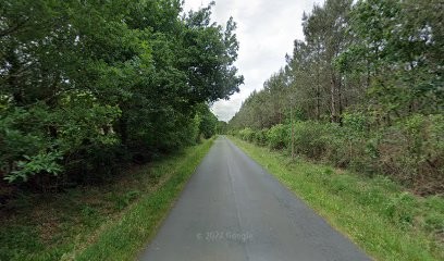 Julie Lavie Photographie, Photographe à Saubrigues