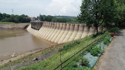 YVES Bruno, Photographe à Mortain Bocage