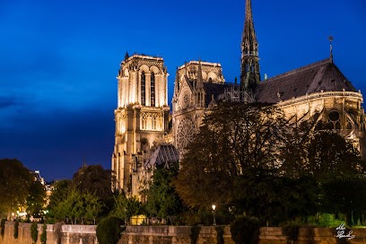 Fernandez photo, Photographe au Cannet