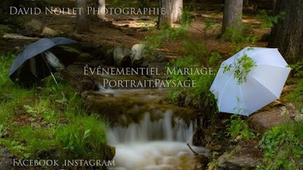 David Nollet Photographie, Photographe à Tallard