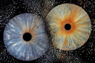 RACCOON'S COLORS, Photographe à Périgueux