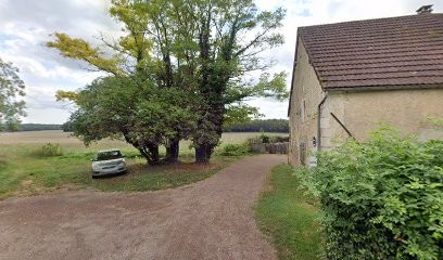 Cooloeuvre, Développement de Photos à Mailly-le-Château