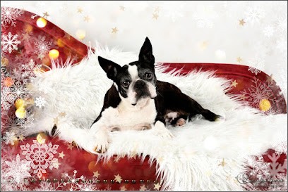 Lucile CARRE Photographies, Photographe à Juigné-sur-Sarthe