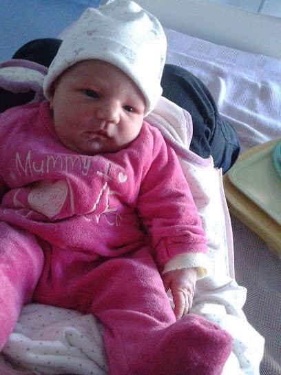 PHOTO-CONSEILS, Photographe à Montpon-Ménestérol