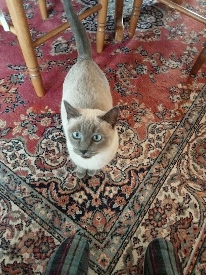 Autr'image, Photographe à Rémalard en Perche