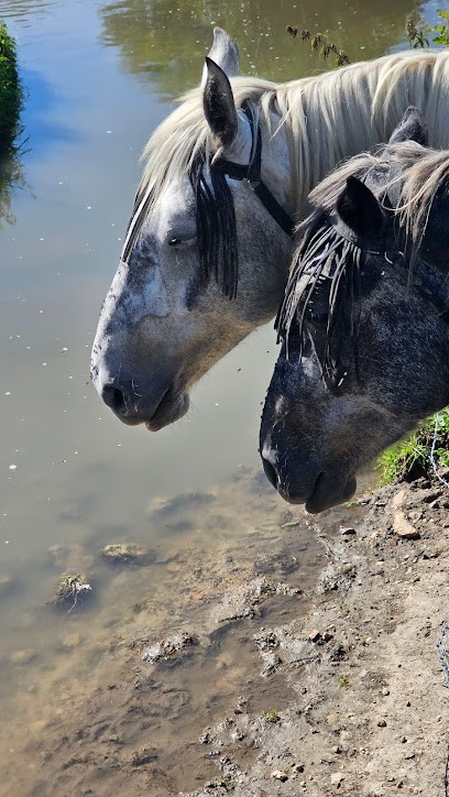 Canonades Photos - Chris, Photographe à Monnaie