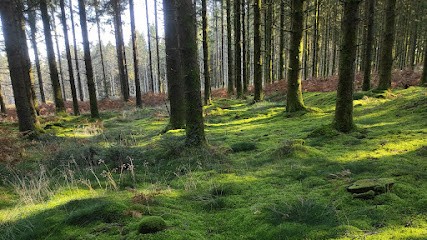 Emmanuel SAVOY, Photographe à La Brionne