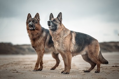 Pixoz Photographie, Photographe à Camblain-Châtelain