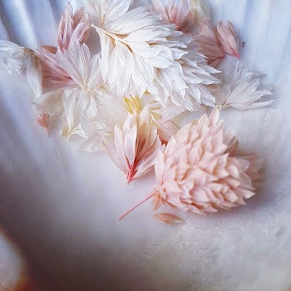 Sarah Teterel photo-thérapie, Photographe à Lassy