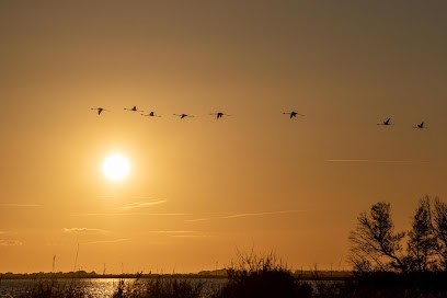 Romil Photo 30, Développement de Photos à Beauvoisin