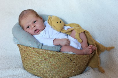 Virginie PENET, Photographe à Villemade