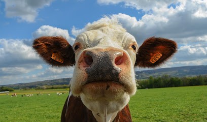 Kevin Rueflin Photographe, Photographe à Gézier-et-Fontenelay