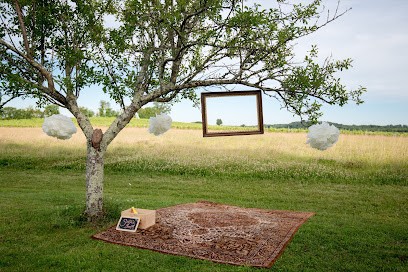 LookinGoodImages, Photographe à Montjean