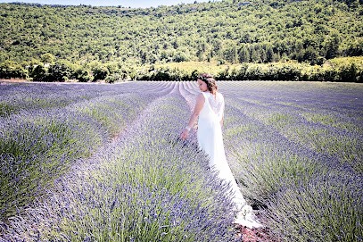 Image Dans L'Image-Photos-Vidéo Vaucluse, Photographe à Morières-lès-Avignon
