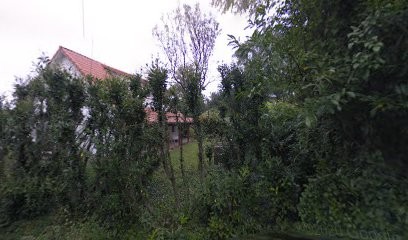 Franck Goddefroy Photographie, Photographe à Veyre-Monton