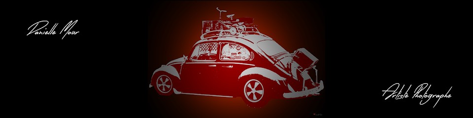 Danièle Mour Artiste Photographe, Photographe à Trévron