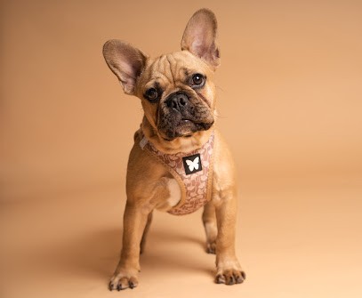 MVPhotographie, Photographe à Hasparren