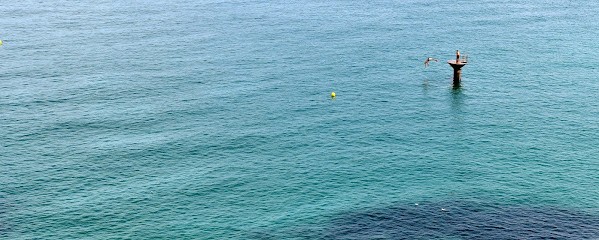 Damien JOURNEE, Photographe à Langoat