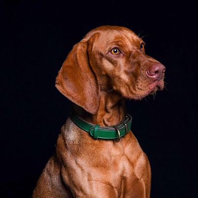 Studio One Shot Photography, Photographe à Pont-l'Évêque