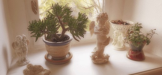 Foffields, Photographe à Trégueux