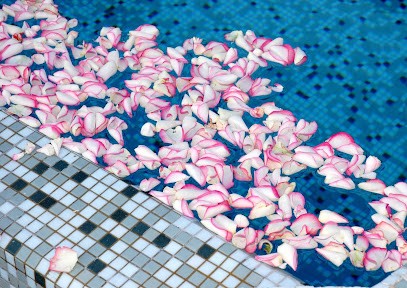 Les Yeux Ouverts, Photographe à Cran-Gevrier