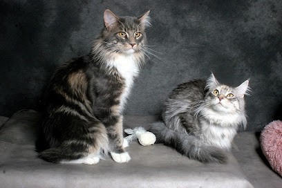 SERIAL PICTURE, Développement de Photos à Boulogne-sur-Mer