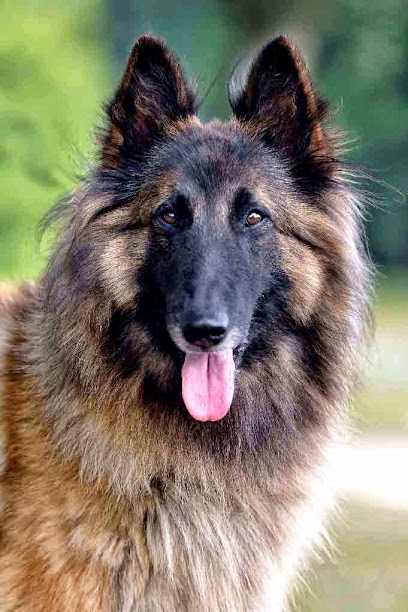 Artiste Photographe Près D'Argenton Sur Creuse - Valérie Morlay Temps, Photographe au Pont-Chrétien-Chabenet