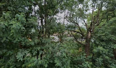 Stormdrone, Photographe à Louhossoa