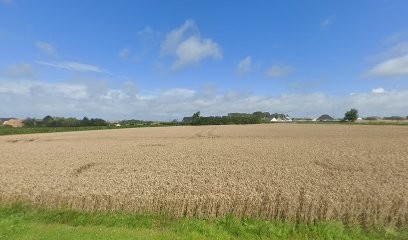 Vinie G, Photographe à Saint-Léonard