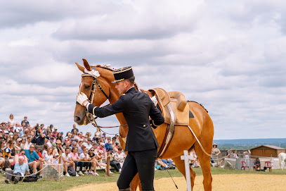 Daniel Bañuelos Photo Et Vidéo Photographe à Saumur