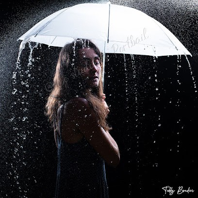 Teddy Boudier Le Studio De Portbail, Photographe à Canville-la-Rocque
