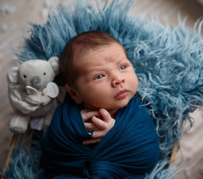 Nathalie Davaze Photographe, Photographe à Saint-Laurent-des-Bois