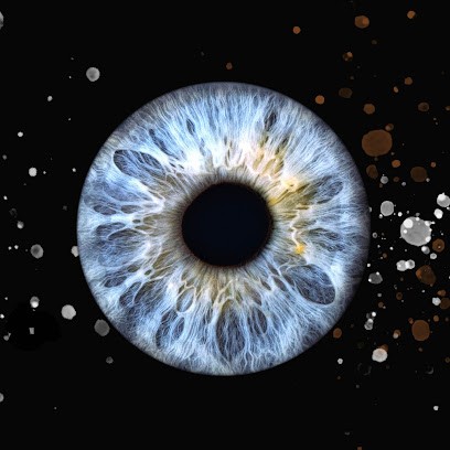 Photographe - Manes Georgio, Photographe à Onnaing