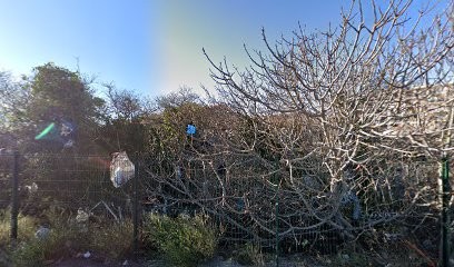 Iposa, Développement de Photos à Marseille 15