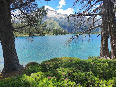 Timothée Lebuhotel, Photographe à Lasserre-Pradère