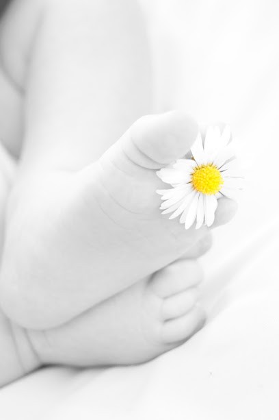 Meyela Photographie, Photographe à Lamotte-Beuvron