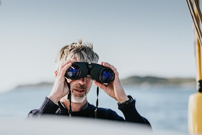 Yves Quéré Photographe, Photographe à Roscoff