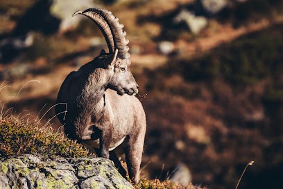 PicAdventure, Photographe à Sainte-Julie