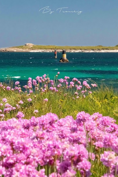 By Tranchig, Photographe à Plabennec