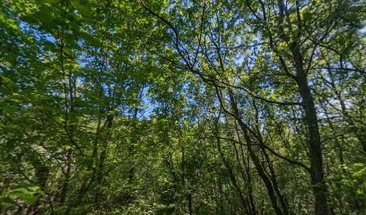 Drone-action, Photographe à Salettes