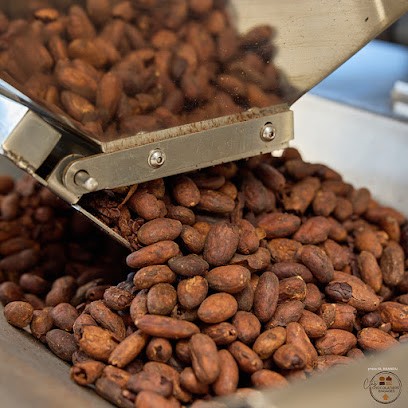 Laurent RANNOU - Photographe Entreprise, Photographe à Saint-Avé