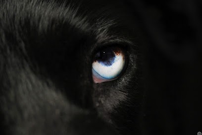 CHLOE CLIC PHOTOS, Photographe à Plumaudan