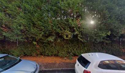 MANTEL, Photographe à Roubaix