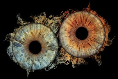 Ikomiris Mimizan - La Photo De Votre Iris, Photographe à Mimizan