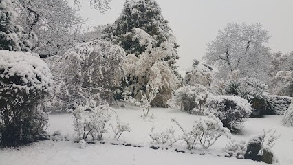 JEAN JACQUES Jodler Photographe, Photographe à Saint-Laurent-de-Neste